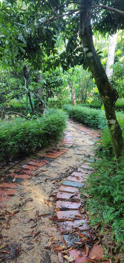 The Vintage Chikmagalur 아파트 외부 사진